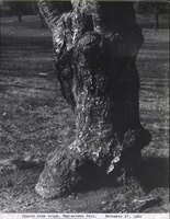 Photo only available in the library
